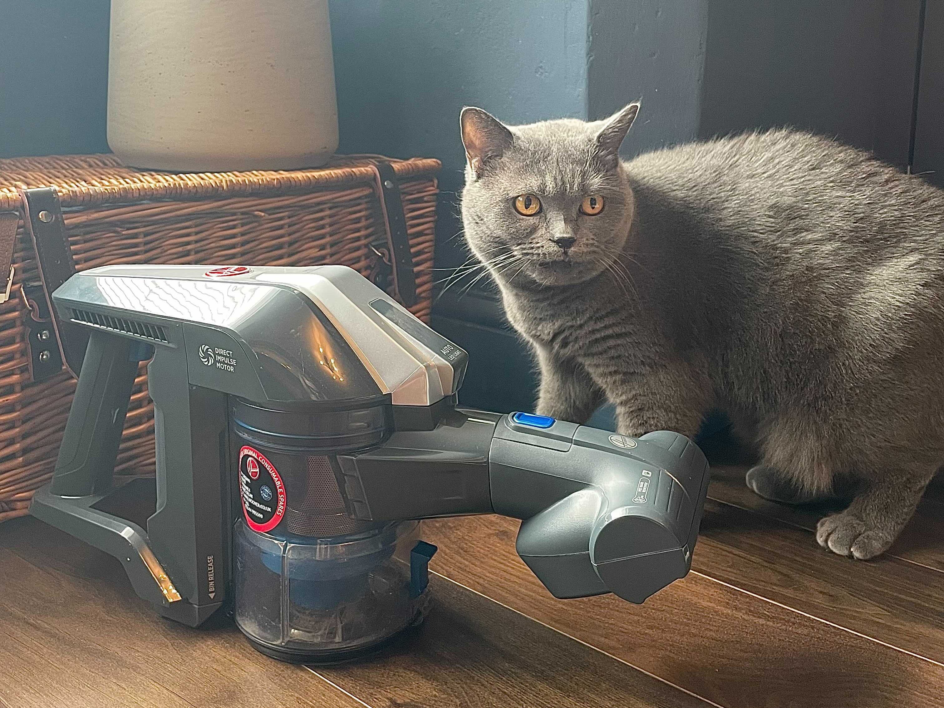 Hoover impulse 2024 pet review